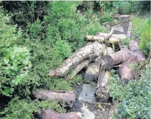  ?? Full sun will dry and heat the wood and it will support little life. Dense shade is good for fungi, but may be too cold for most insects.
Add to your decaying wood, using wood from friends and neighbours. A local tree surgeon may also be able to supply y ?? ●●Logs left in the shade can be a haven for insects, mosses and fungi