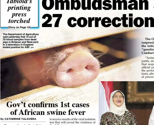  ?? AFP ?? The Department of Agricultur­e said yesterday that 14 out of 20 blood samples from dead pigs in Bulacan and Rizal sent to a laboratory in England tested positive for ASF.