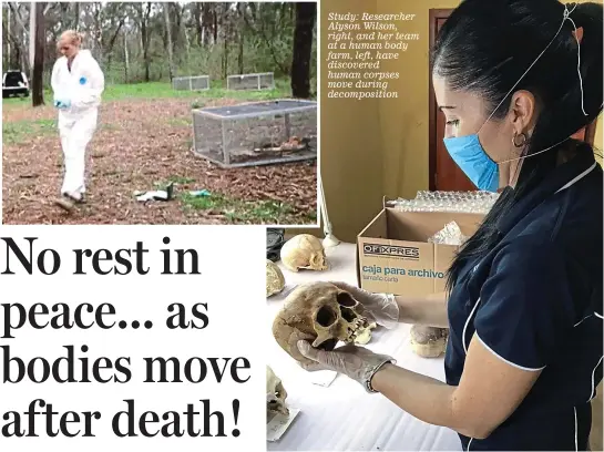  ??  ?? Study: Researcher Alyson Wilson, right, and her team at a human body farm, left, have discovered human corpses move during decomposit­ion