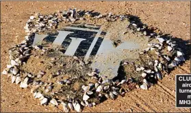  ?? ?? CLUES: Debris from the aircraft, left and right, turned up thousands of miles from where MH370 was last tracked