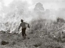  ??  ?? Left: A firefighte­r uses a torch for a controlled prairie burn Saturday at UH Coastal Center in La Marque. Propane was used to help torch segments of the prairie, while Coastal Center volunteers were close by to make sure the fire didn’t spread to parts they didn’t want burned.