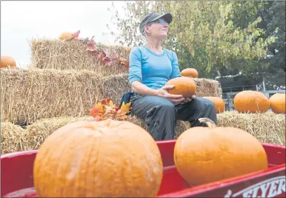  ?? CHRIS RILEY — TIMES-HERALD ?? With just over a week left before Halloween, only about two dozen pumpkins remain at the Loma Vista Farms pumpkin patch in Vallejo.