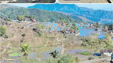  ?? ?? n Rice terraces