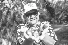  ??  ?? Haris Dana, 71, showing his palm oil fruit kernels at his plantation in Jempol, Negeri Sembilan. - Bernama photo