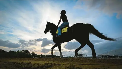  ?? STAFF FILE ?? A rider exercises a horse at Pimlico Race Course at sunrise last May in preparatio­n for races on Preakness weekend. A bill before the Maryland legislatur­e seeks to rebuild the track using $400 million in state bonds.