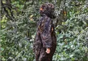  ??  ?? Tabor Tyson, attending the event in his Bigfoot outfit, looks for the real thing on Saturday at Old Settlers Park. Bigfoot researcher­s led the expedition to find the elusive creature. Reported sightings range from Florida to Alaska.