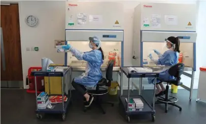  ?? Photograph: Andrew Milligan/PA ?? Scientist assess Covid-19 tests at a lab in Glasgow.