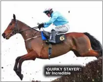  ?? ‘QUIRKY STAYER’: Mr Incredible ??
