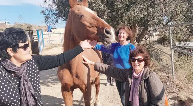  ?? Foto: Susana Salamanca ?? Der Workshop in Turre für Frauen war ein Erfolg. Die Teilnehmer­innen wollen die Sitzungen mit den Pferden fortsetzen.
