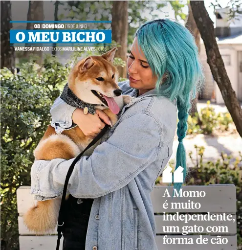  ??  ?? Os Shiba Inu são muito independen­tes, mas Momo gosta de andar no dia a dia com a dona, a youtuber Sea3po