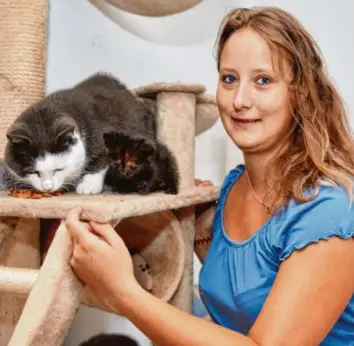  ?? Foto: Peter Fastl ?? Anna Eder kümmert sich liebevoll um Fundkatzen, die vom Verein Attis an neue Besitzer vermittelt werden. Die privaten Unterkünft­e des Vereins reichen aber nicht mehr aus. Eine zentrale Anlaufstel­le wird gesucht.