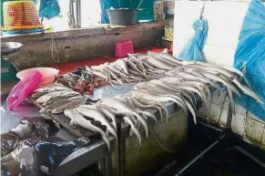  ??  ?? Cause for concern: Sharks being sold at a market in Sabah. Photo taken from Sabah Sharks Protection Associatio­n’s Facebook page.