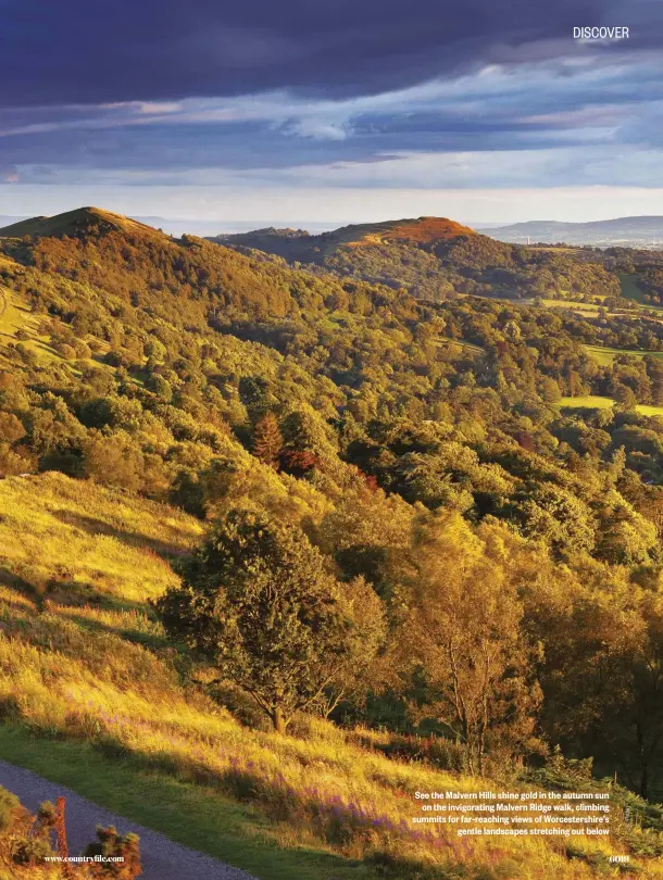  ??  ?? See the Malvern Hills shine gold in the autumn sun on the invigorati­ng Malvern Ridge walk, climbing summits for far-reaching views of Worcesters­hire’s gentle landscapes stretching out below