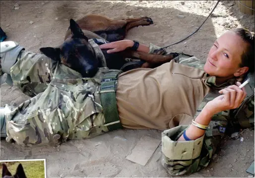  ??  ?? Brave: Belgian Shepherd Kevin with his handler Lance Corporal Kelly Wolstencro­ft during a break from operations in Afghanista­n. Dazz, inset left, also faces being put down next week