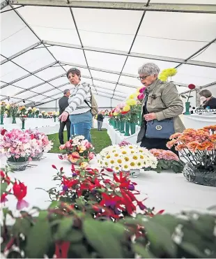  ??  ?? Members of the public view the flowers submitted for judging.