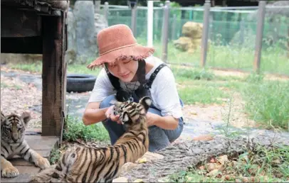  ?? PROVIDED TO CHINA DAILY ?? Ding Siyan plays with two tiger cubs at Sanzhen Tiger Conservati­on in Jinjing town, Changsha, Hunan province.