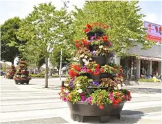  ??  ?? Flower baskets at the Market Square were praised by judges.