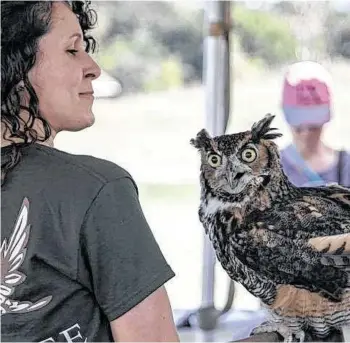  ??  ?? Seabourne Nature Fest takes place Saturday in Rosenberg.
Courtesy photo