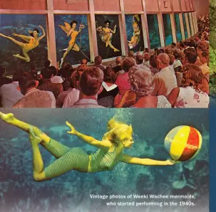  ??  ?? Vintage photos of Weeki Wachee mermaids, who started performing in the 1940s.