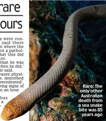  ??  ?? Rare: The only other Australian death from a sea snake bite was 85 years ago