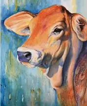  ??  ?? Penny, brahman heifer, mixed media.