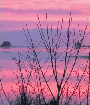  ?? PHOTO: CASSANDRA STORNOWAY ?? A pink sunrise reflected in Blueskin Bay on Tuesday.