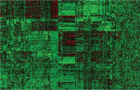  ??  ?? Sur cette image, chaque ligne correspond à une tumeur du sein. Chaque colonne représente un gène plus ou moins exprimé dans cette tumeur : en vert, il l’est beaucoup ; en rouge, peu. Des algorithme­s de classifica­tion non supervisée font apparaître des...
