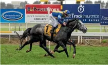  ?? PHOTO: ANDY JACKSON ?? Jonathan Riddell gets Saint Emilion home in the Powerworx Grey race at Pukekura.