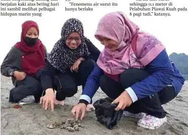  ??  ?? SALLY (tengah) bersama dua rakannya teruja mengutip haiwan marin yang terdampar di beting pasir ketika fenomena air surut habis di Pantai Tanjung Rhu, Langkawi.