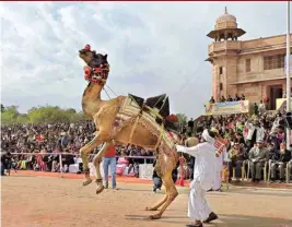  ?? PIC: ANURADHA KANWAR BHATI ?? The two-day annual camel festival concluded on Sunday with much fanfare in the presence of foreigners and domestic tourists at Karni Singh Stadium in Bikaner, Rajastan. The event was filled with fun activities including camel safaris. The festival,...