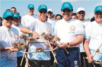  ?? AFP ?? IMF managing director Christine Lagarde (second from left) and Indonesian minister Luhut Binsar Pandjaitan hold their finished coral fragments before taking them to the water where it will help rehabilita­te threatened coral reefs, ahead of the 2018 IMF/World Bank annual meetings in Nusa Dua, Bali.