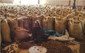  ??  ?? This photo taken on Nov 15, 2016 shows a worker sorting cocoa beans at the ESCO Kivu cocoa processing plant in Beni.