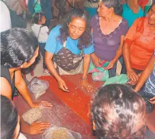  ??  ?? LABOR. El programa busca integrar a las mujeres al mundo de la producción del café y enseñarles a darle valor agregado.