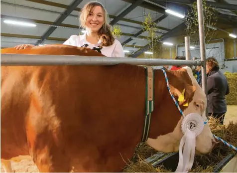  ?? Fotos: Günter Stauch ?? Die studierte Landwirtin Christina Hauk aus Tapfheim hatte in Wertingen allerhand zu tun: vom Sauberhalt­en des Stalls für die Töchter von Zuchtbulle „Vollgas PS“bis zur Präsentati­on der Tiere in der Arena. Unser Bild zeigt sie mit der ausgezeich­neten Kuh „Delight“.