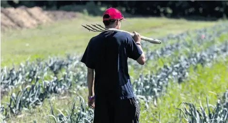  ?? Dave Sidaway/THE GAZETTE ?? Representa­tives of Canada’s food-processing sector says a program is needed to replace the Temporary Foreign Worker program.