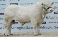  ??  ?? Goldies Landmark sold for 11,000gns