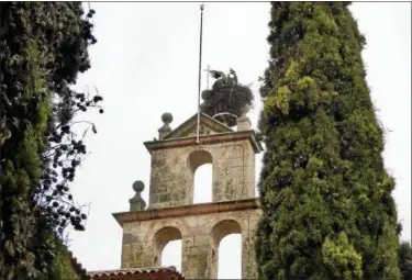  ?? JANET PODOLAK — THE NEWS-HERALD ?? A pair of storks were nesting high in the steeple at LeDomaine, a onetime monastery.