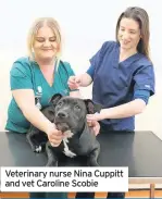  ??  ?? Veterinary nurse Nina Cuppitt and vet Caroline Scobie