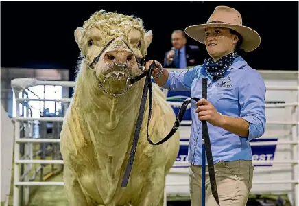  ?? PHOTO: DAVID UNWIN/FAIRFAX NZ ?? The Champion of Champions award given to charolais bull Timoho Legacy. The bull with leader, Lucy Collin.