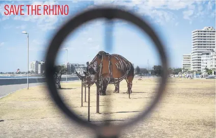  ?? Picture: Jacques Nelles ?? An art installati­on titled by Andre Carl is seen at Sea Point promenade in Cape Town. The work speaks to the fragility of the rhino population in sub-Saharan Africa.