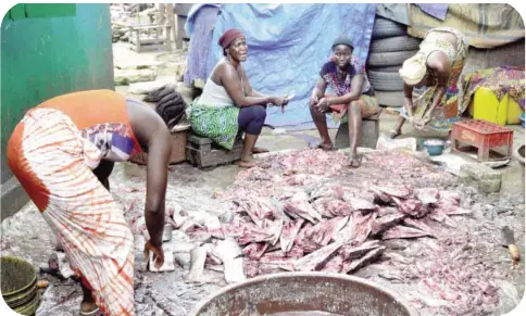  ?? — AFP ?? CONAKRY: Women select and prepares fish in Conakry. The Marine Resources Assessment Group (MRAG) has estimated that over $100 million (90 million euros) in marine products are caught illegally in Guinean waters every year, with the worst offenders...