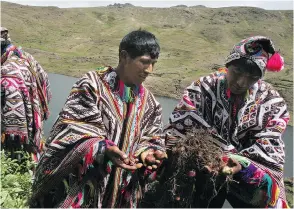  ?? JAIME RAZURI / AFP / GETTY IMAGES ?? Poor farmers with potatoes in Paru Paru, Cusco, Peru.