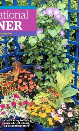  ??  ?? Create a cosy trellis nook in bright colours as a standout feature