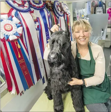 ?? STEVE BOSCH/PNG FILES ?? Janine Starink and her giant schnauzer Abbey are taking part in the 140th annual Westminste­r Kennel Club Dog Show next week in New York City.