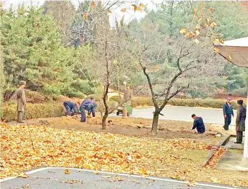  ??  ?? North Korean soldiers dig a trench and plant trees in the area where a defector ran across the border at the Demilitari­zed Zone (DMZ) dividing North Korea and South Korea. — Reuters photo