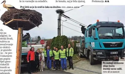  ?? FOTO: JERNEJA JANČAR FOTO: MITJA KAUKLER ?? Prvi štrk se je že vrnil in čaka na družico.
Po zaslugi strokovne ekipe bosta štorklji varno valili.