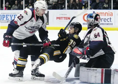  ?? MARK MALONE ?? Spitfires winger Brendan Lemieux, left, and goalie Mikey DiPietro watch Sting centre Rees Jamieson go down Saturday during OHL playoff action in Sarnia. The Sting won 4-1, while on Friday the Spits took it 6-2.