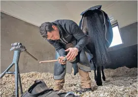  ??  ?? Life at Newmarket: Work riders put horses through their paces; (above) a farrier attaches a shoe; (right) trainer Sir Michael Stoute understand­s the value of his staff