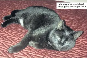  ??  ?? Lola was presumed dead after going missing in 2013