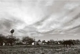  ?? Jerry Lara / Staff photograph­er ?? A horse grazes in a field in Sarita in 2004. Besides a small county courthouse and the Kenedy Ranch Museum, the town consists of mostly small white houses.